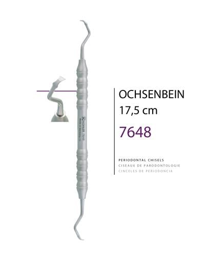 Keski, Çizıl Ochsenbein 4 17.5cm