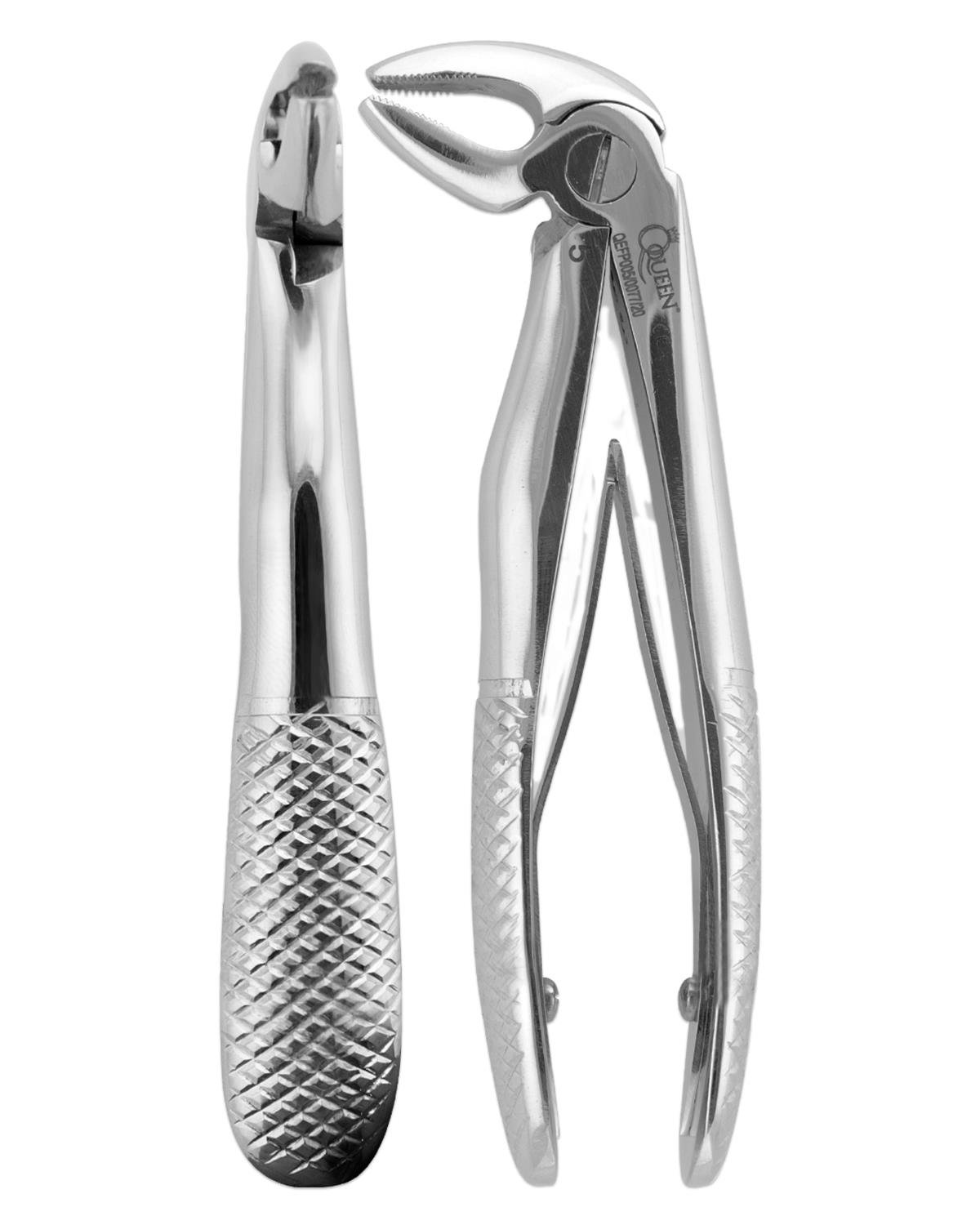 Queen  Alt Molar Davyesi Fig- 22 10 5cm - QEFP005