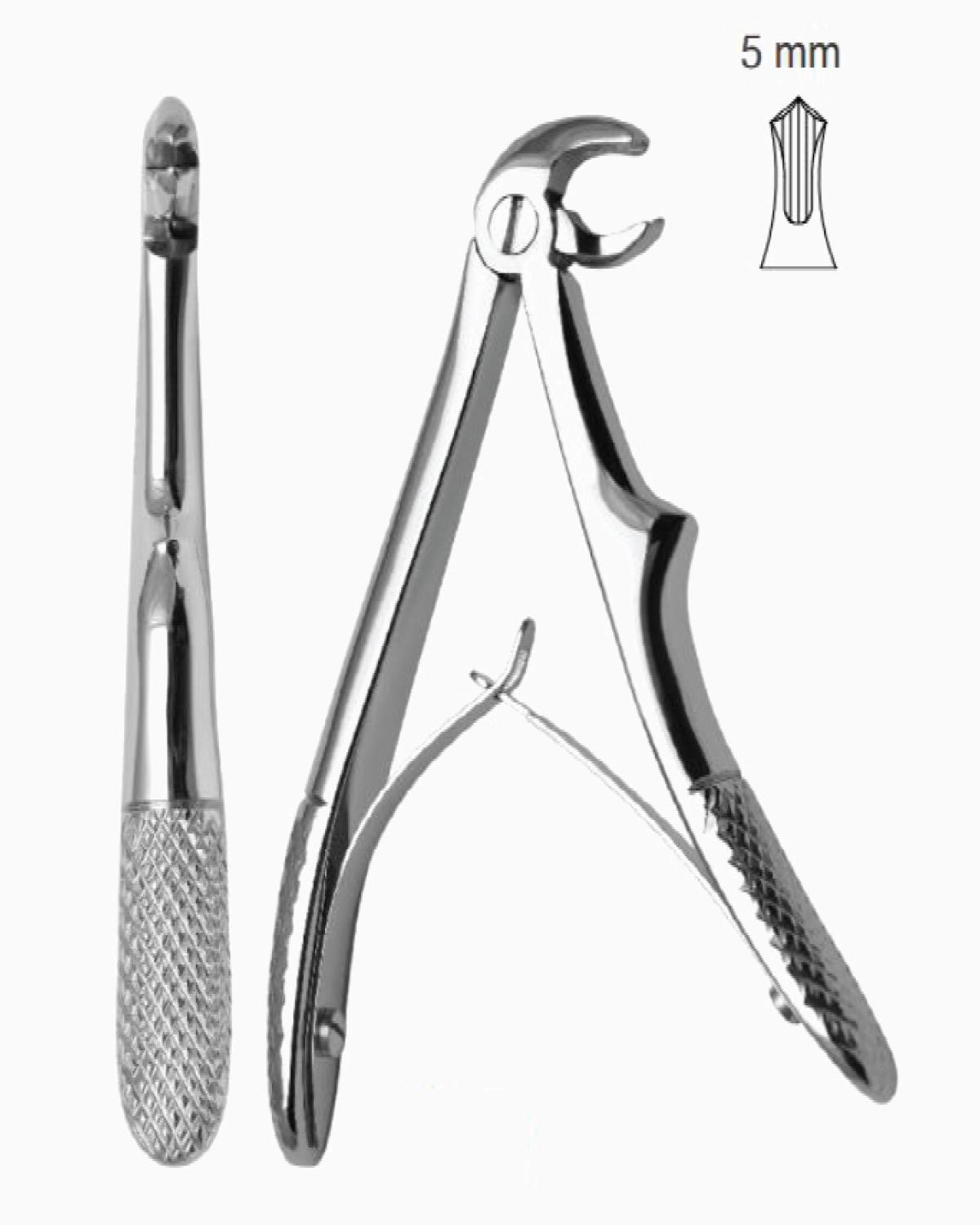 Queen  Alt Molar Davyesi Fig- 22 10 5cm - QEFP005