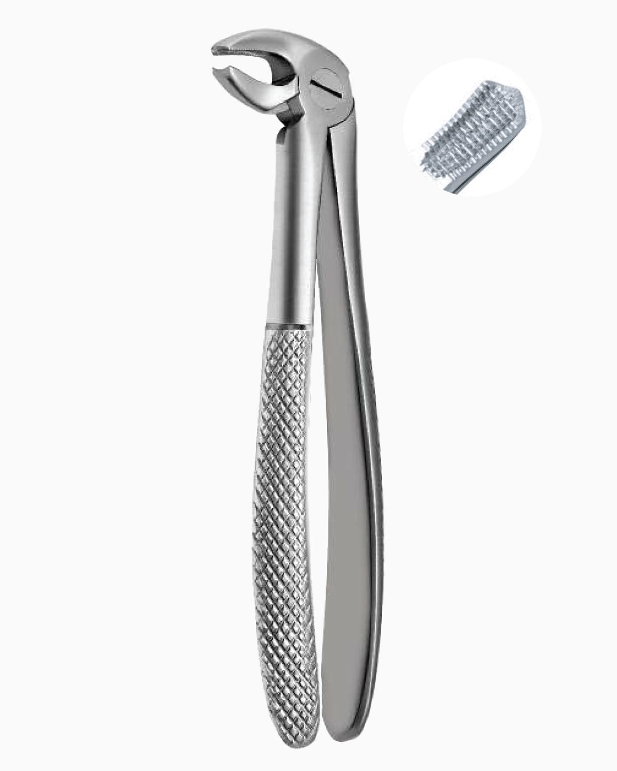 Queen  Alt Molar Davyesi Fig- 22S 14cm - QEFP028