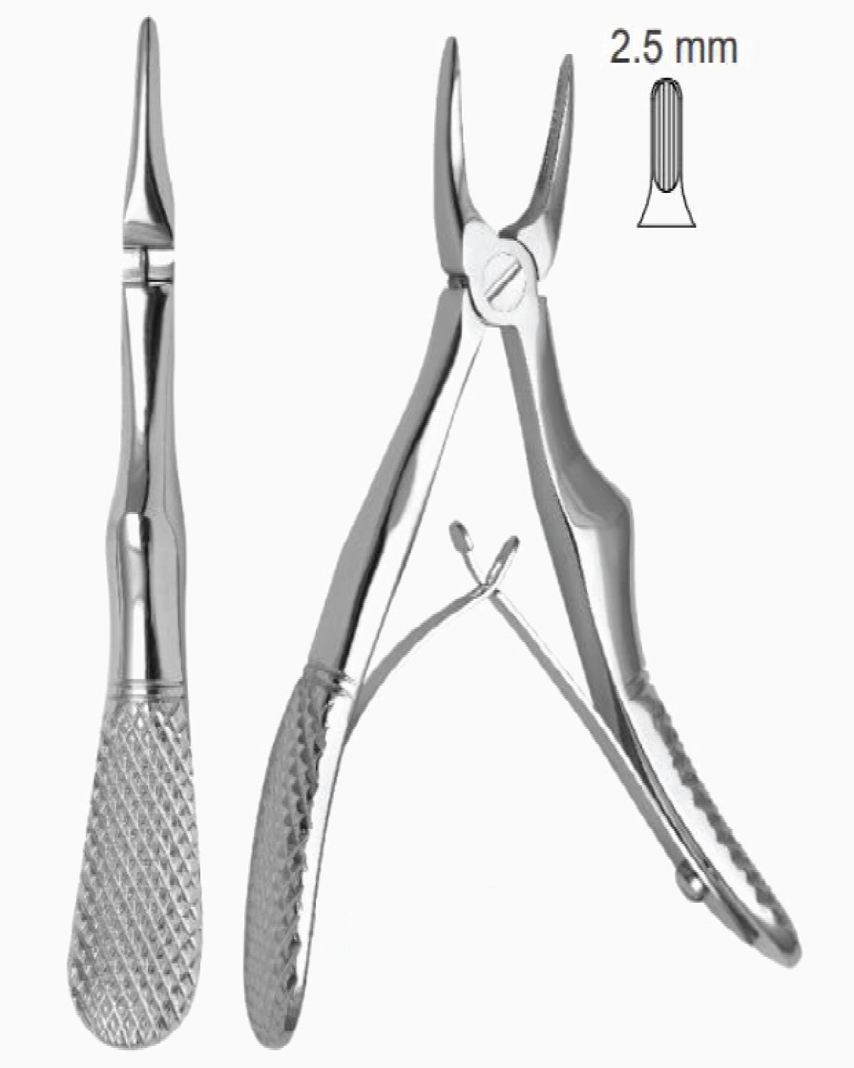 Queen  Üst Keser Davyesi Fig- 29 11 5cm - QEFP002