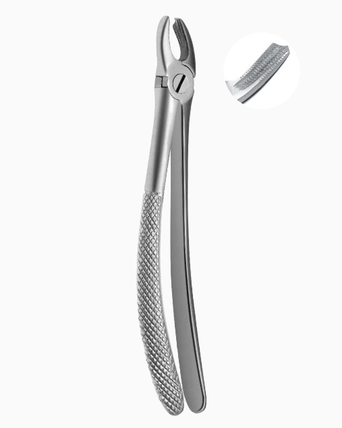 Queen  Üst Sağ Molar Davyesi fig- 39R 14cm - QEFP022