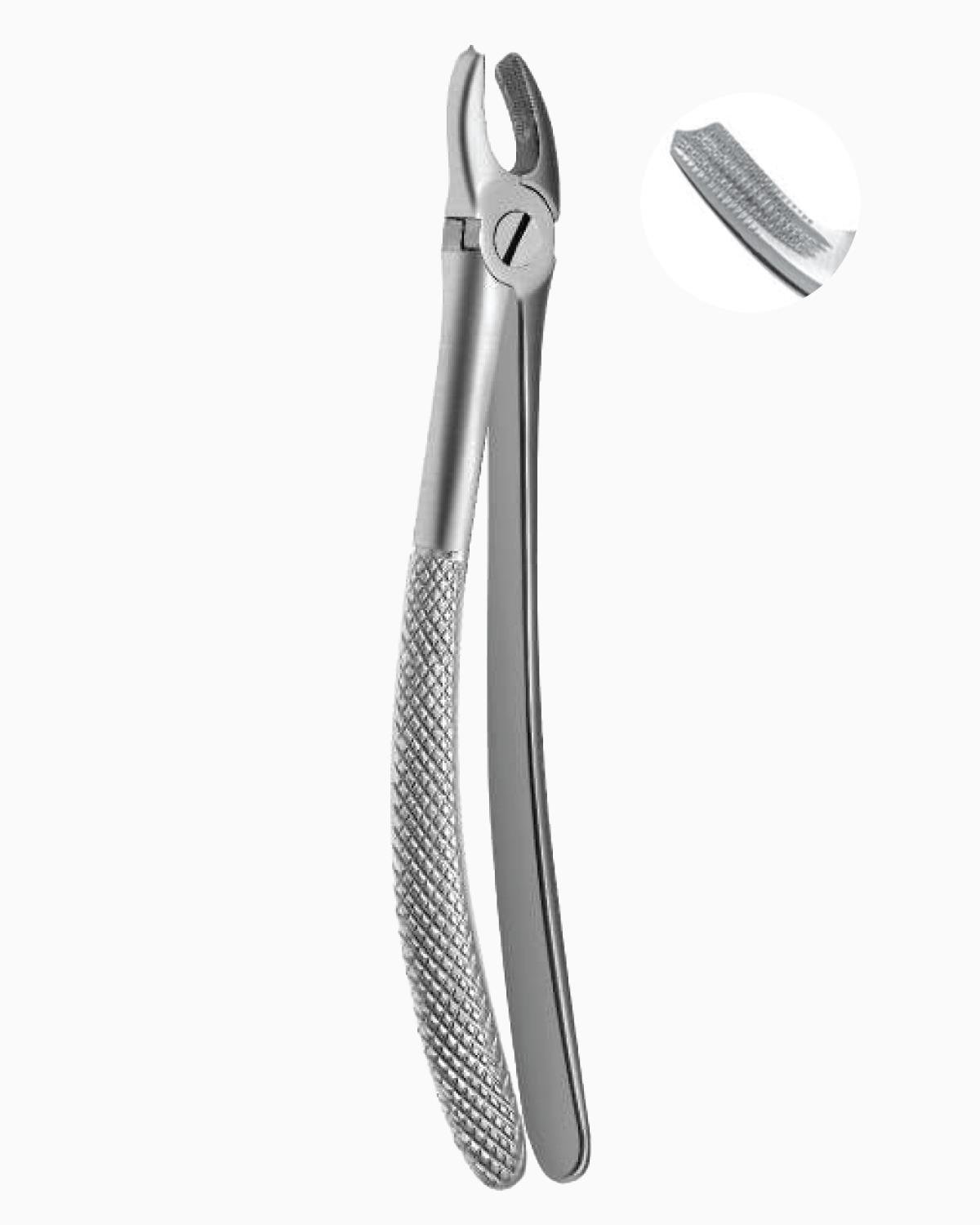 Queen  Üst Sol Molar Davyesi 14cm - QEFP023