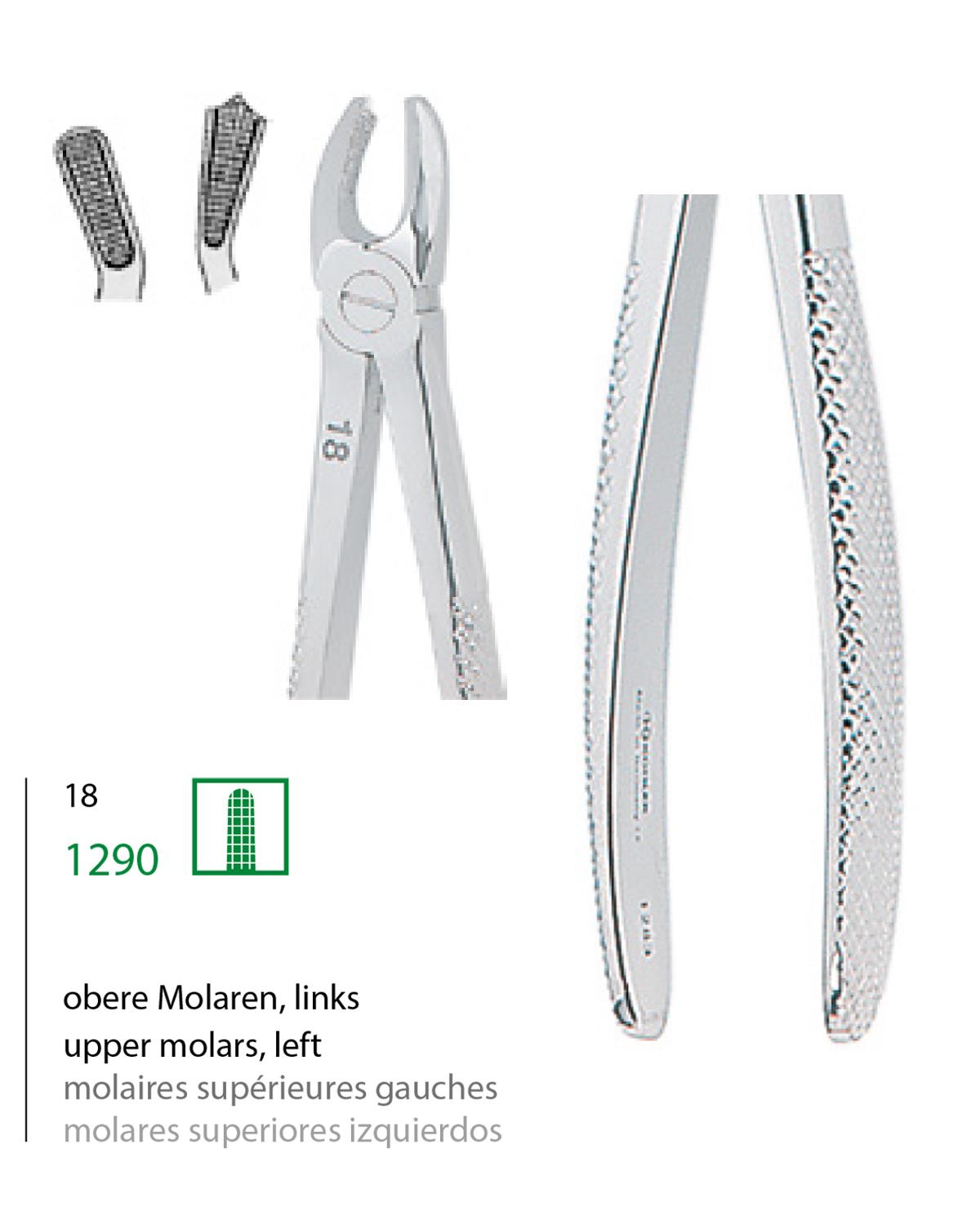 Üst Sol Molar Davyesi Fig. 18