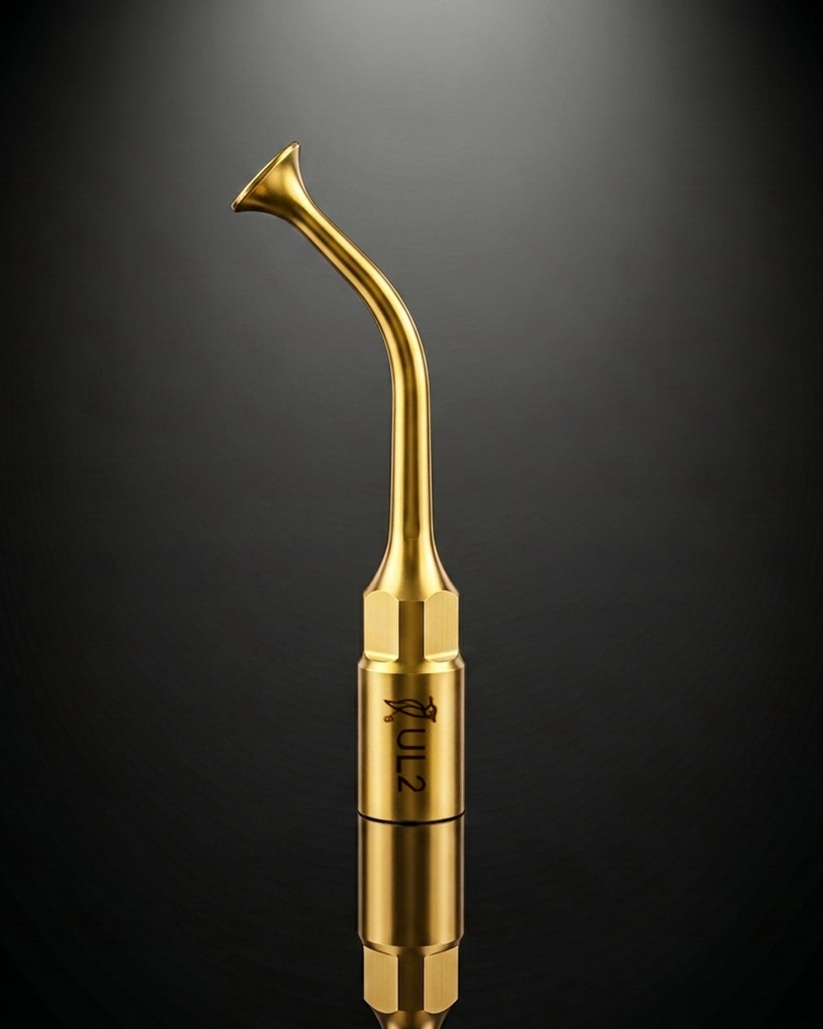Woodpecker UL2 Piezzo Surgery - Sinüs Lifting Ucu