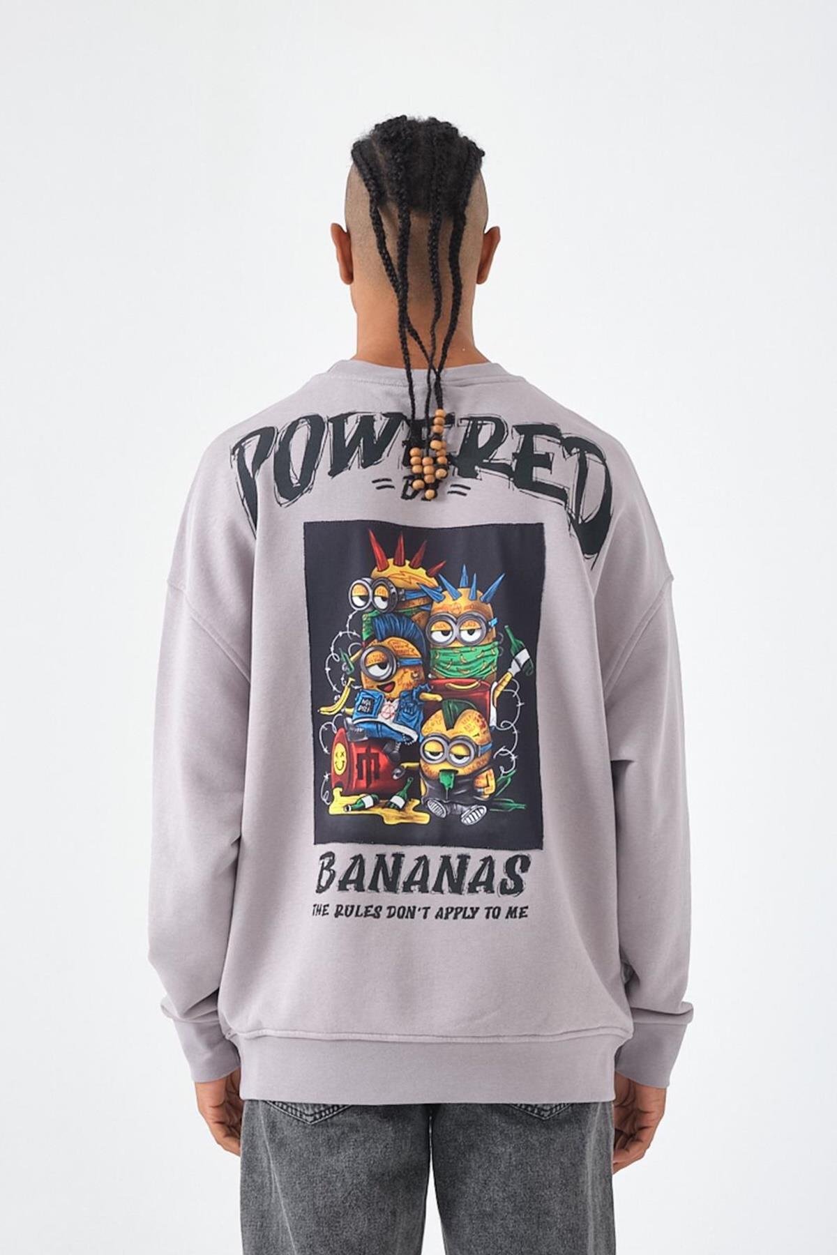 POWERED OLD SCHOOL SWEATSHIRT BUZ GRİ