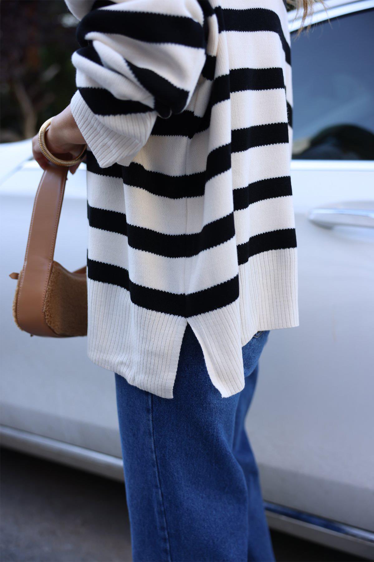 TURTLEneck STRIPED KNIT SWEATER