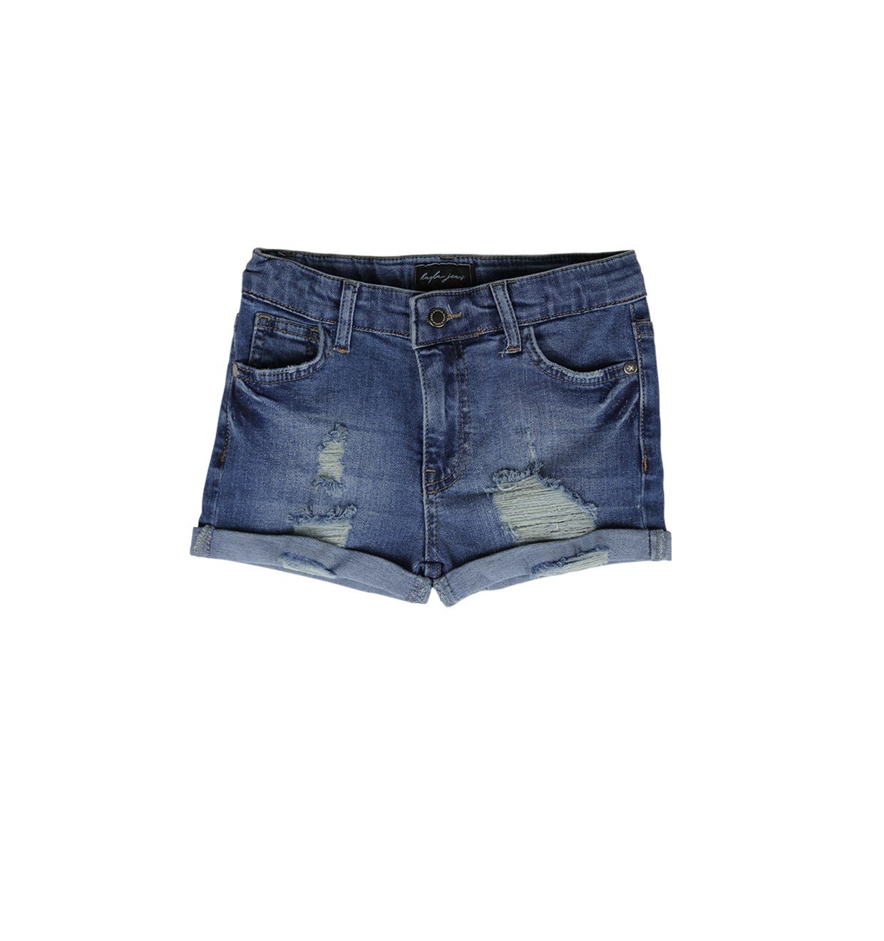Vintage Ripped Denim Shorts