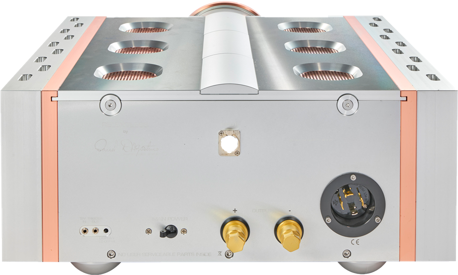 DAN D'AGOSTINO Relentless 800 Mono Power Amplifikatör