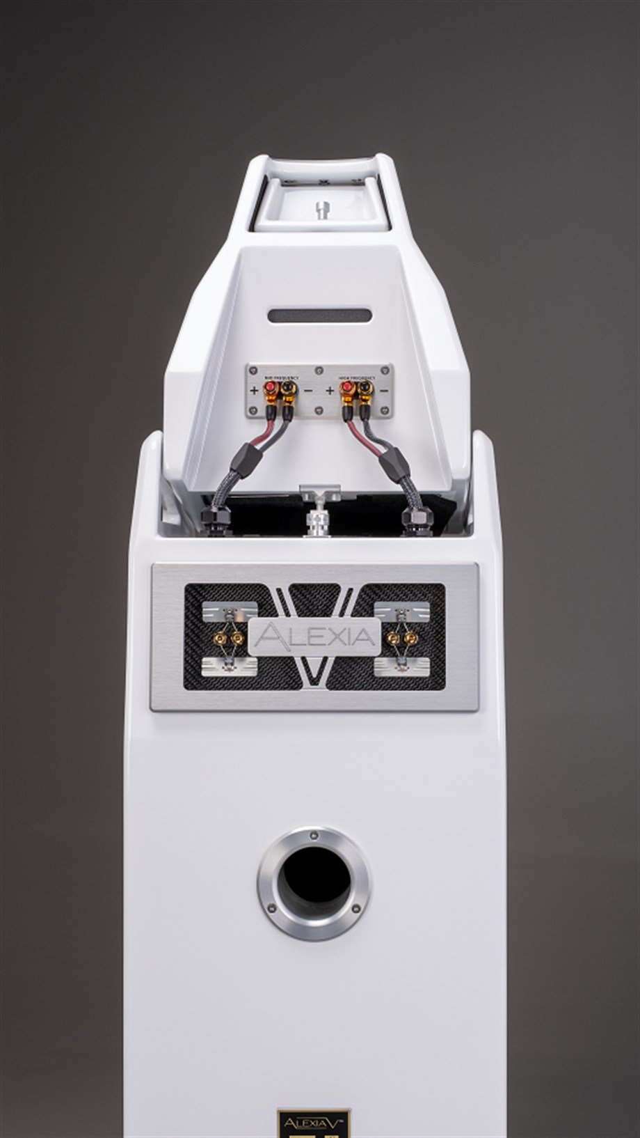 WILSON AUDIO ALEXIA V
