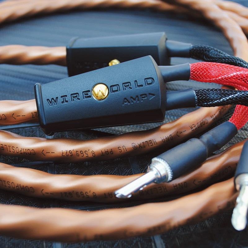 WIREWORLD  MİNİ ECLIPSE 10 Hoparlör Kablosu 