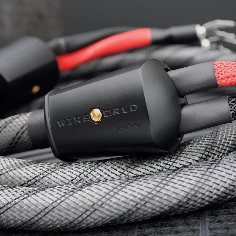 WIREWORLD SILVER ECLİPSE 10 Hoparlör Kablosu 