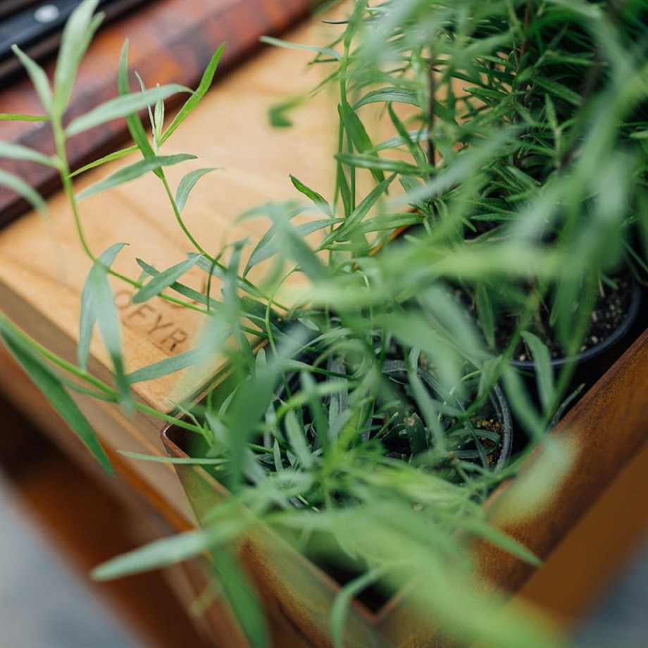 Ofyr Tekerlekli ve Tik Odun Çalışma Tezgahlı Korten Pişirme 1-100-PRO-T