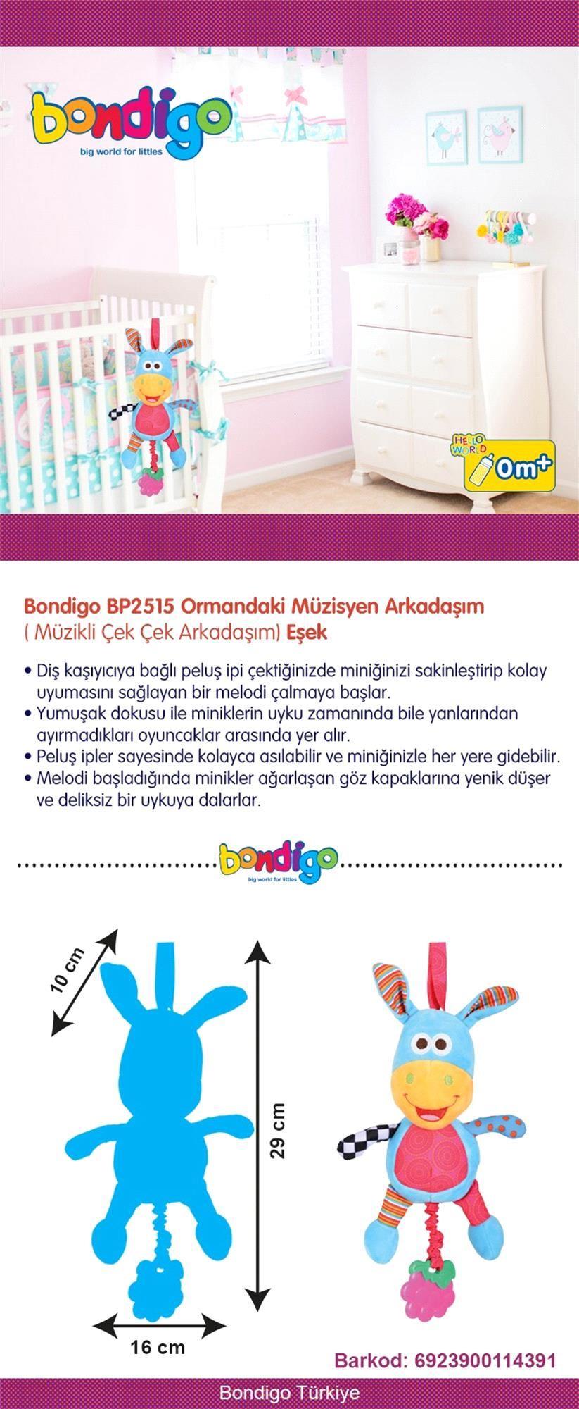 Bondigo Ormandaki Müzisyen Arkadaşım Eşek 2515