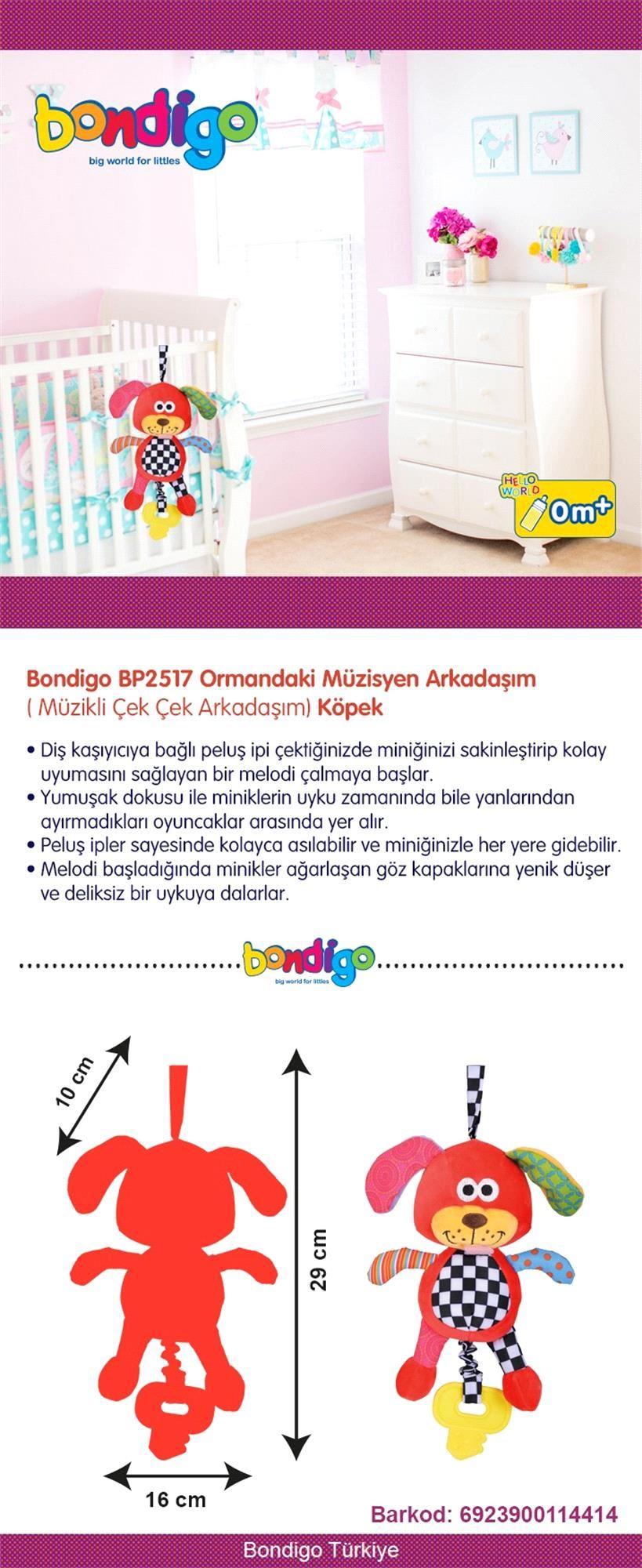 Bondigo Ormandaki Müzisyen Arkadaşım Köpek 2517