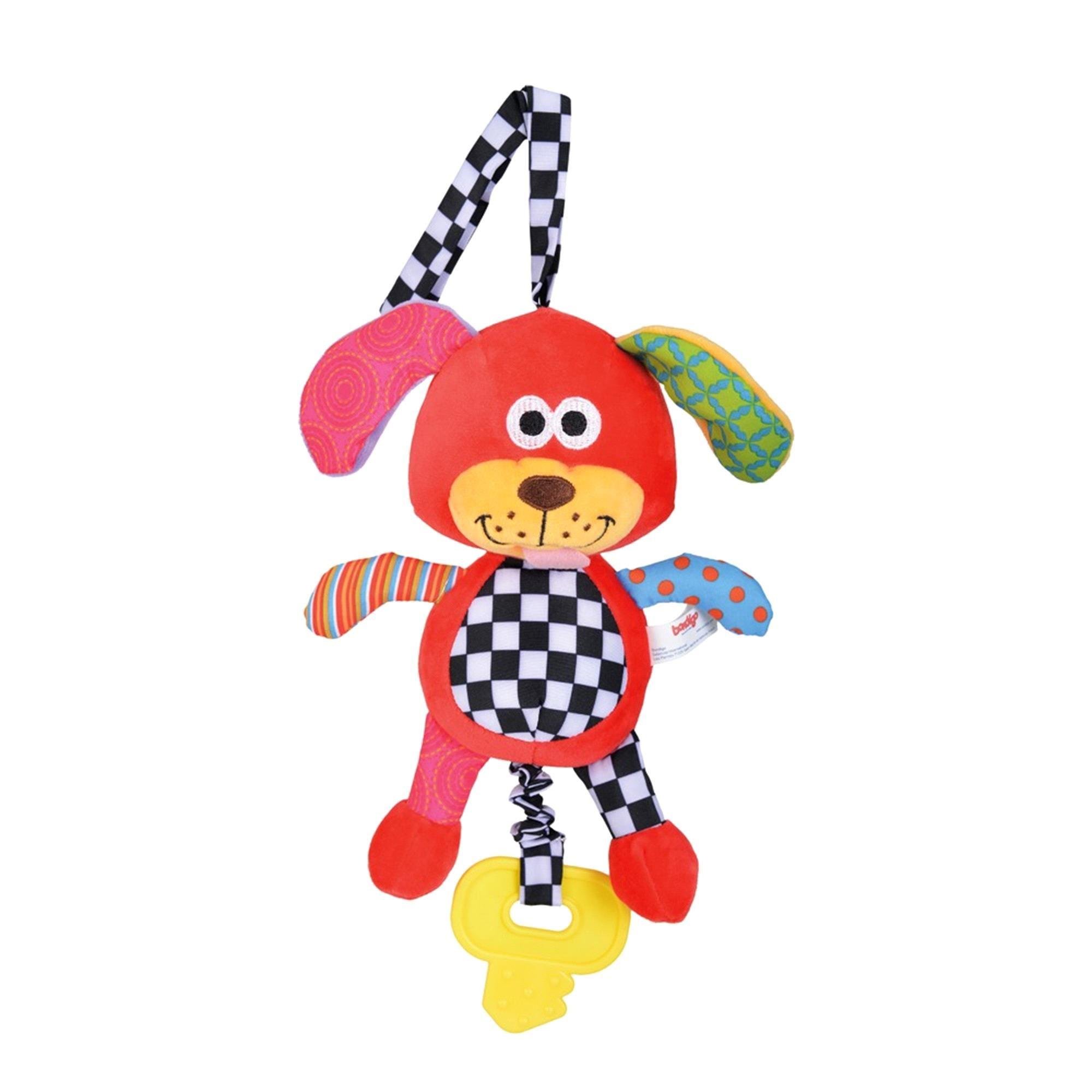 Bondigo Ormandaki Müzisyen Arkadaşım Köpek 2517