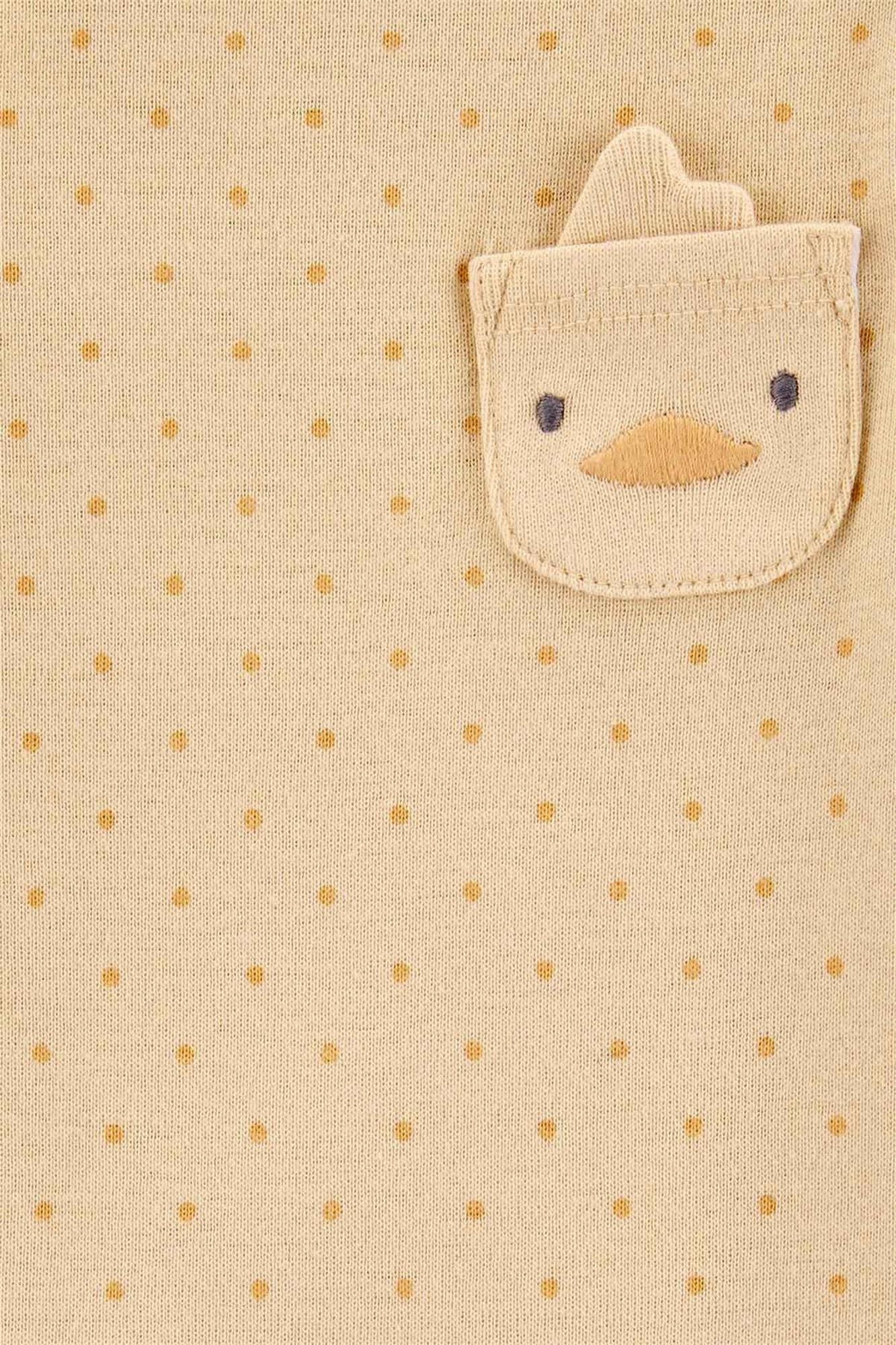 Carter's Kız Bebek 4'lü Body Set Renkli 1T397210