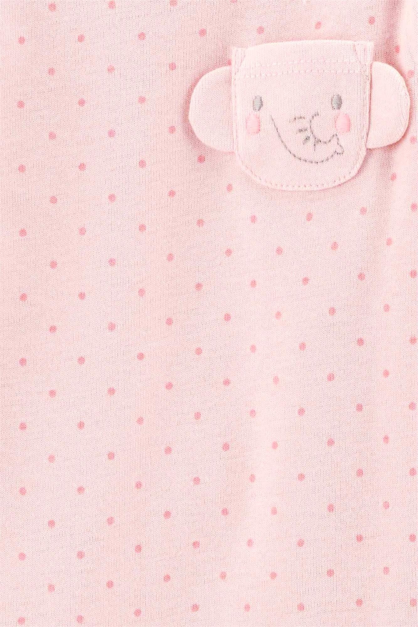 Carter's Kız Bebek 4'lü Body Set Renkli 1T397210