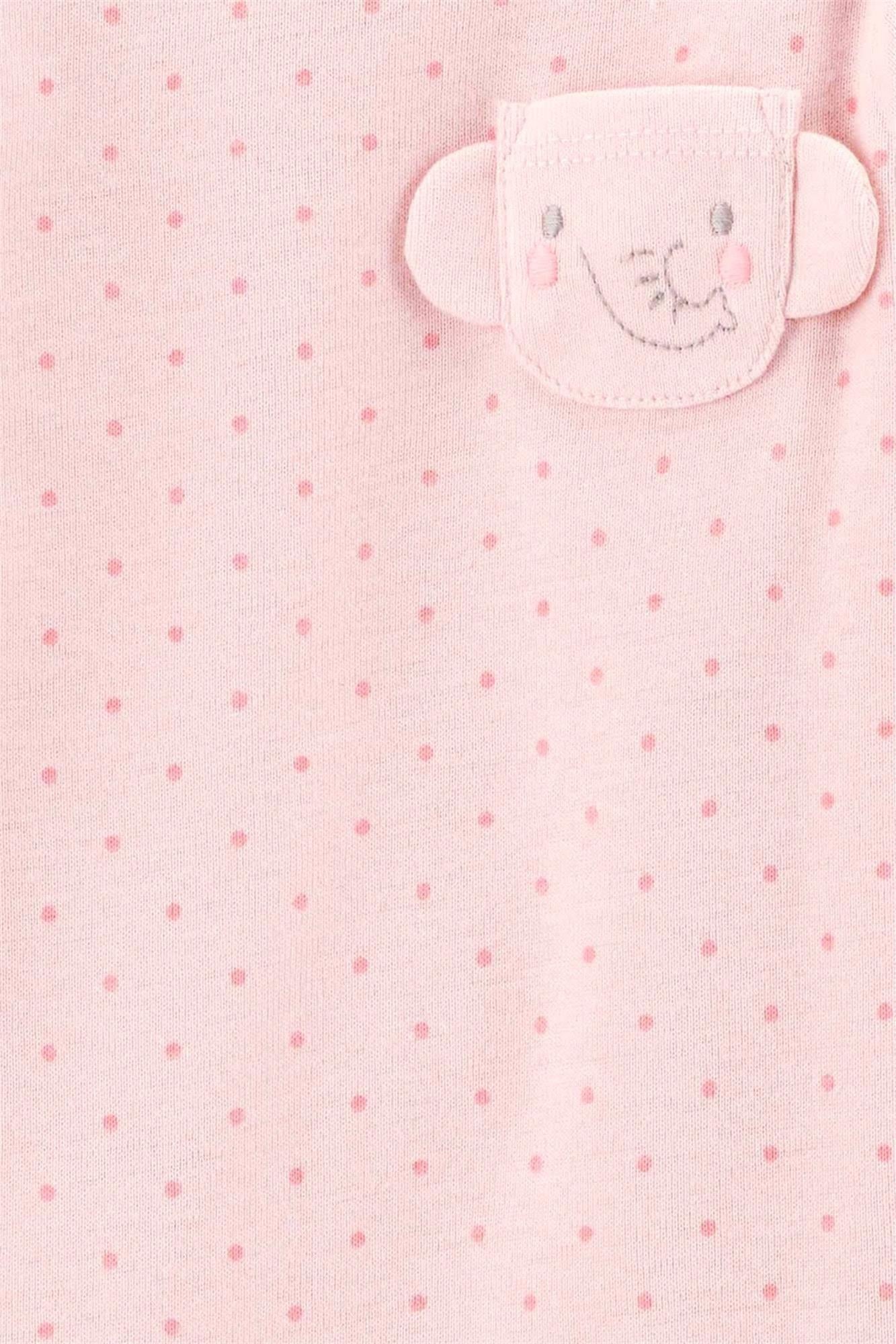 Carter's Kız Bebek 4'lü Body Set Renkli 1T397210