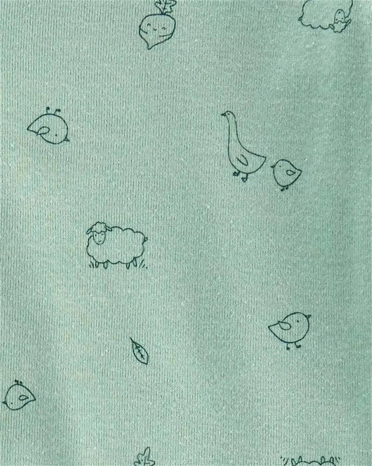 Carter's Kız Bebek Layette 3'lü Body Asortili 1L782610