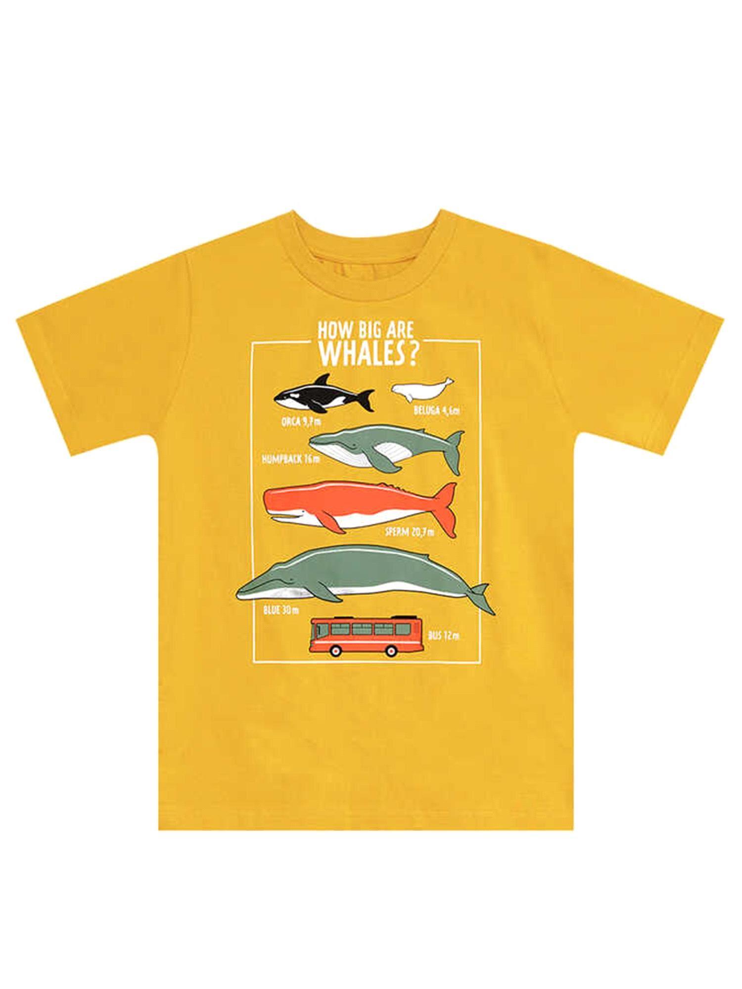 Denokids Erkek Çocuk Big Whales T-shirt Kapri Takım MS-24Y1-010