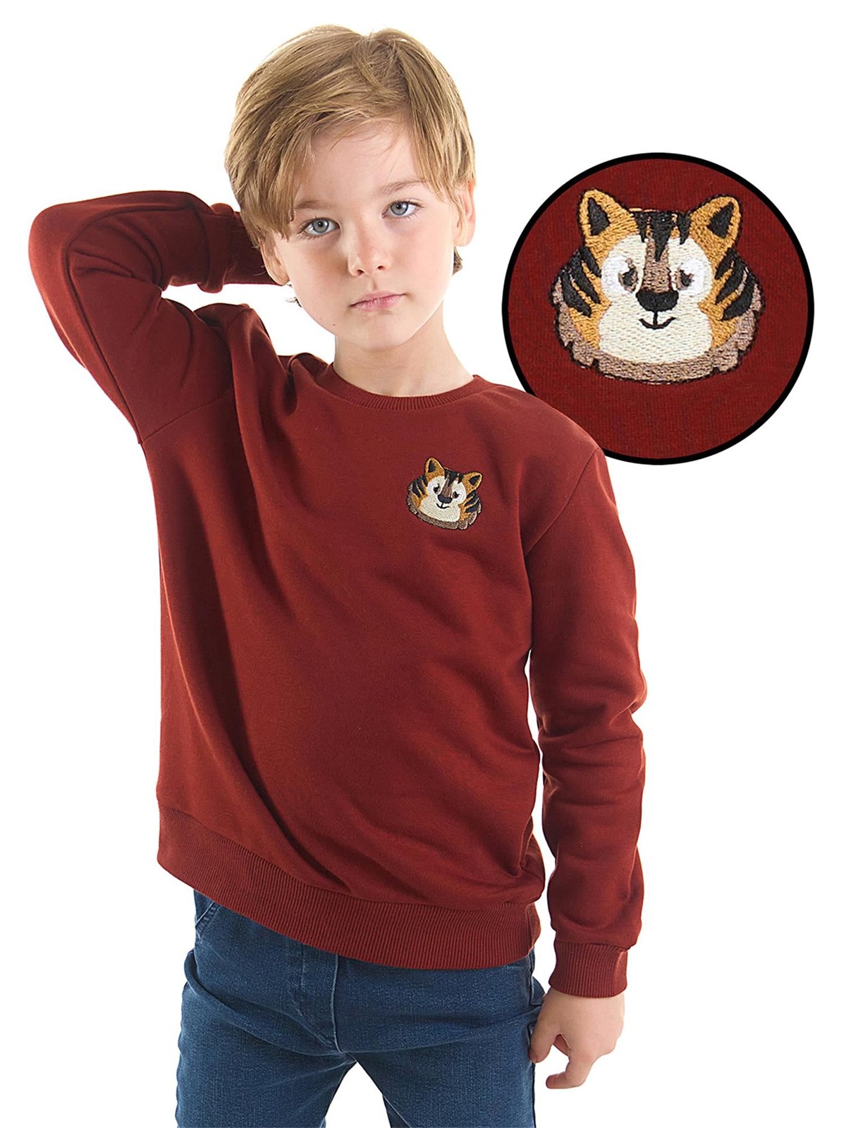 Denokids Erkek Çocuk Kaplan Sweatshirt Cff-22S1-015