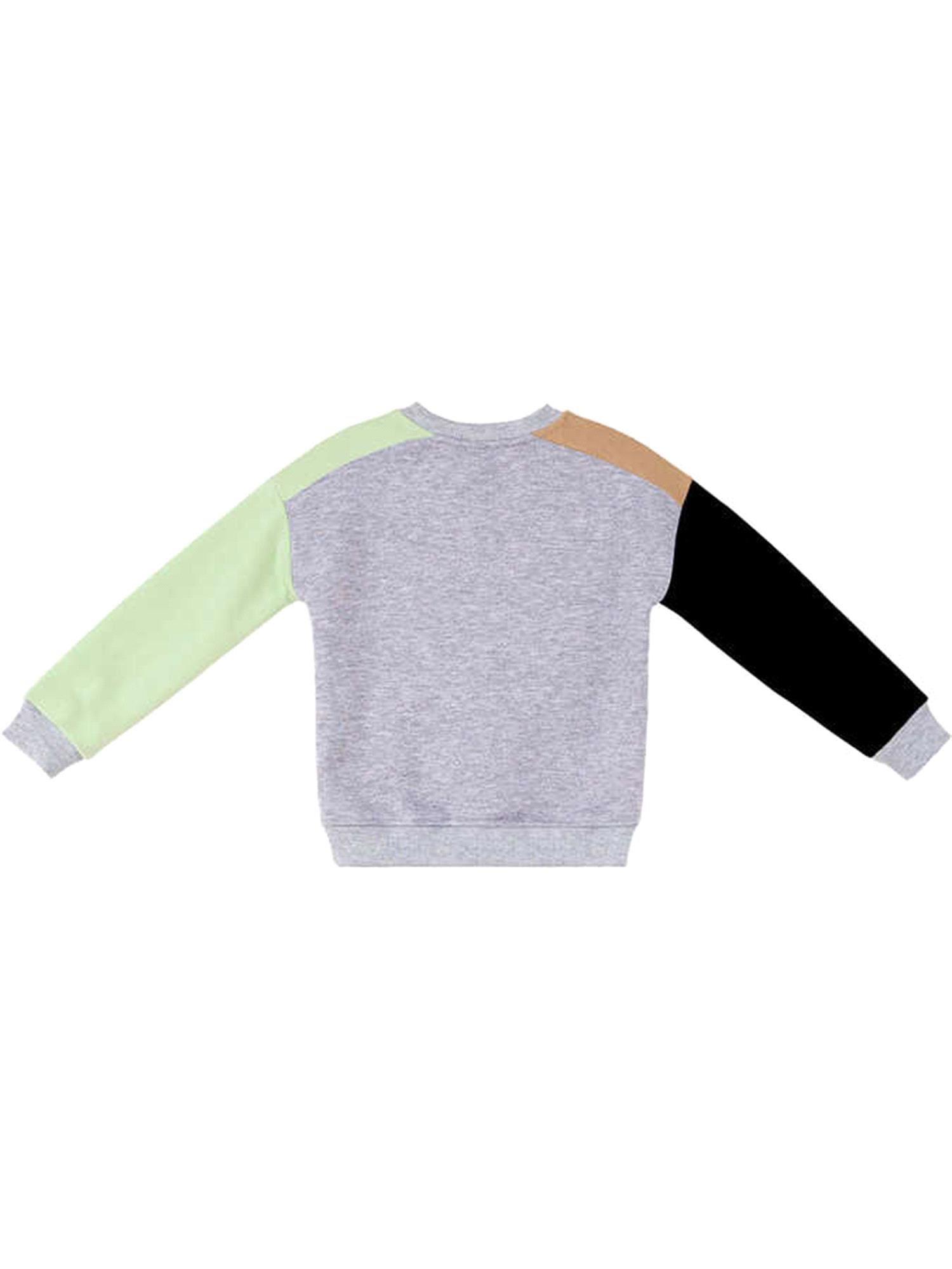 Denokids Erkek Çocuk Rakun Ve Ayı Sweatshirt CFF-23K1-025