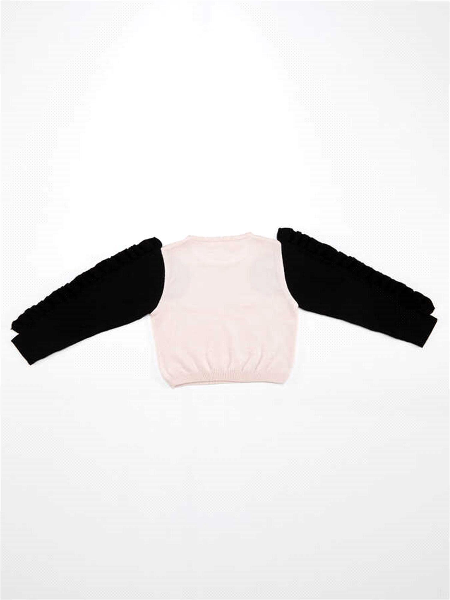 Denokids Kız Çocuk Kuğu Payetli Triko Kazak Pembe MS-21K1-040