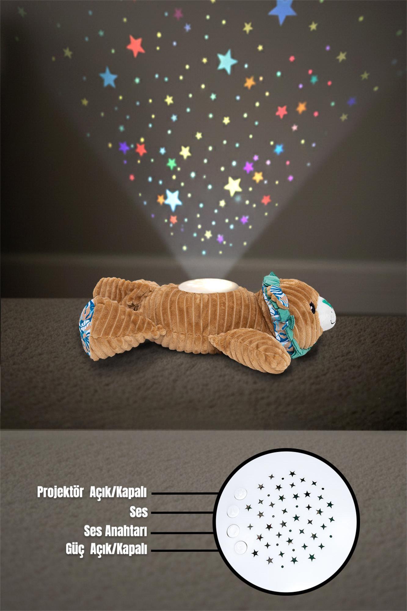 Prego Müzikli ve Gece Işıklı Aslan P210605