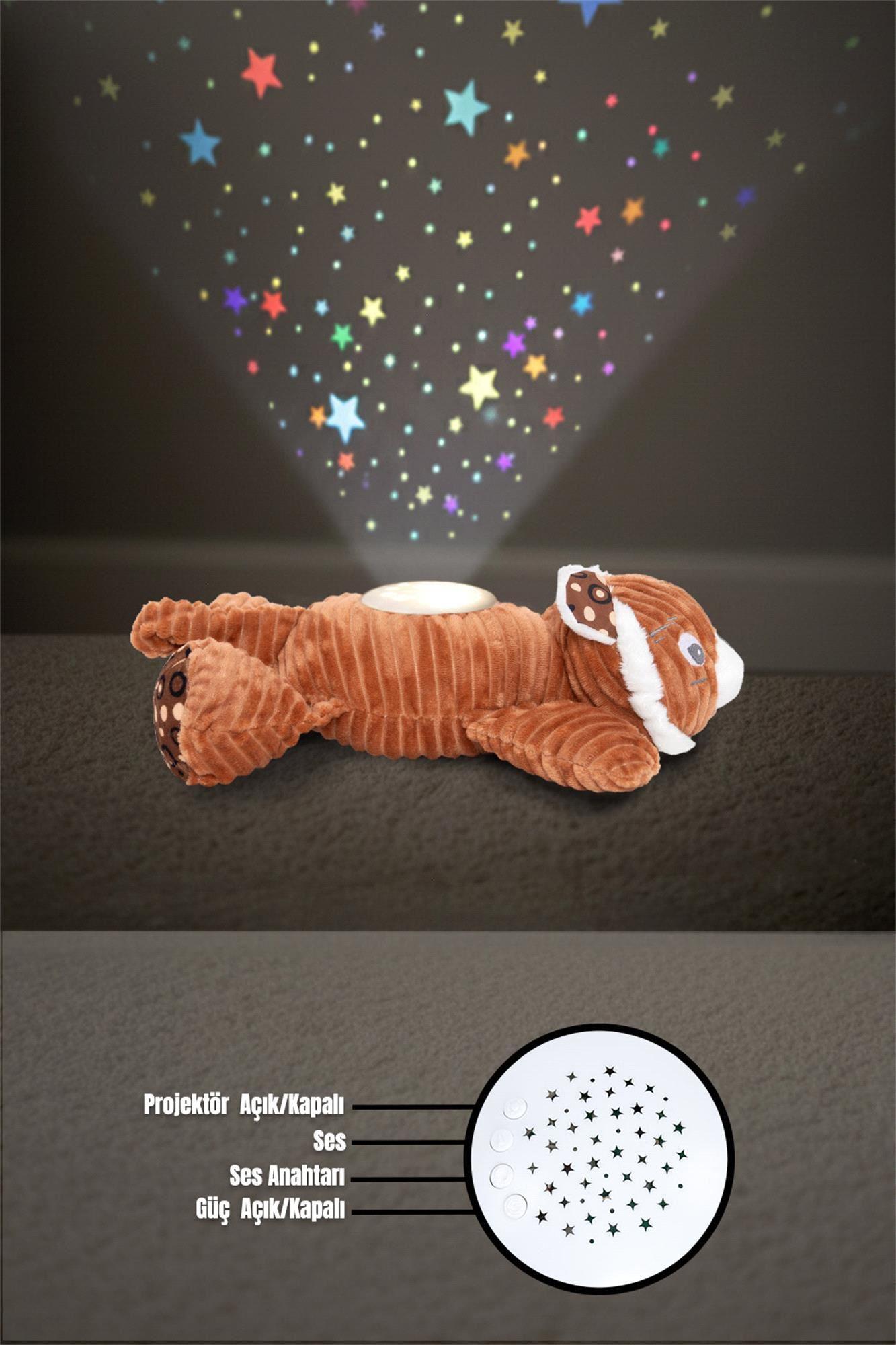 Prego Müzikli ve Gece Işıklı Kaplan P210610