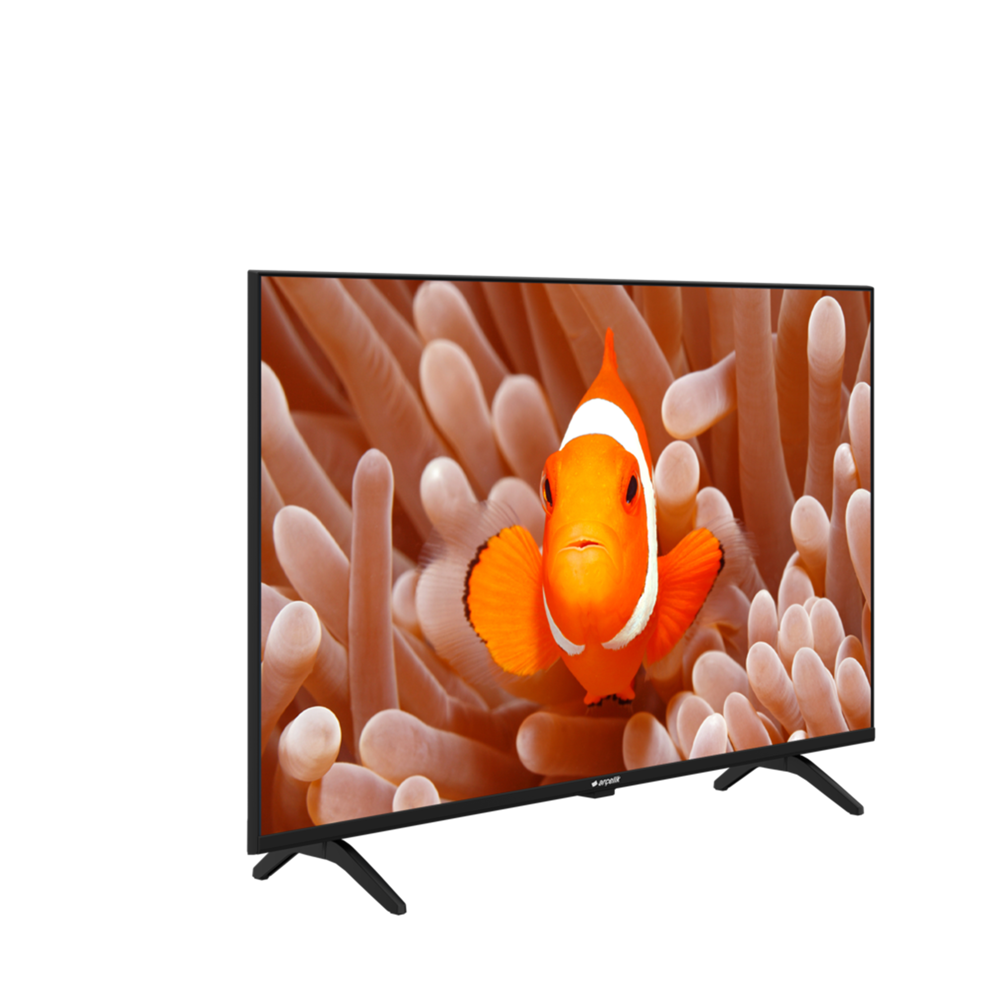 A43_D_695BLED TV
