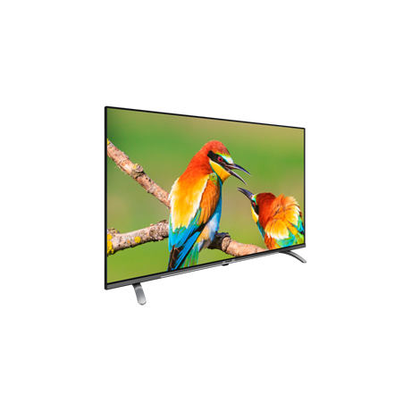 LED TV