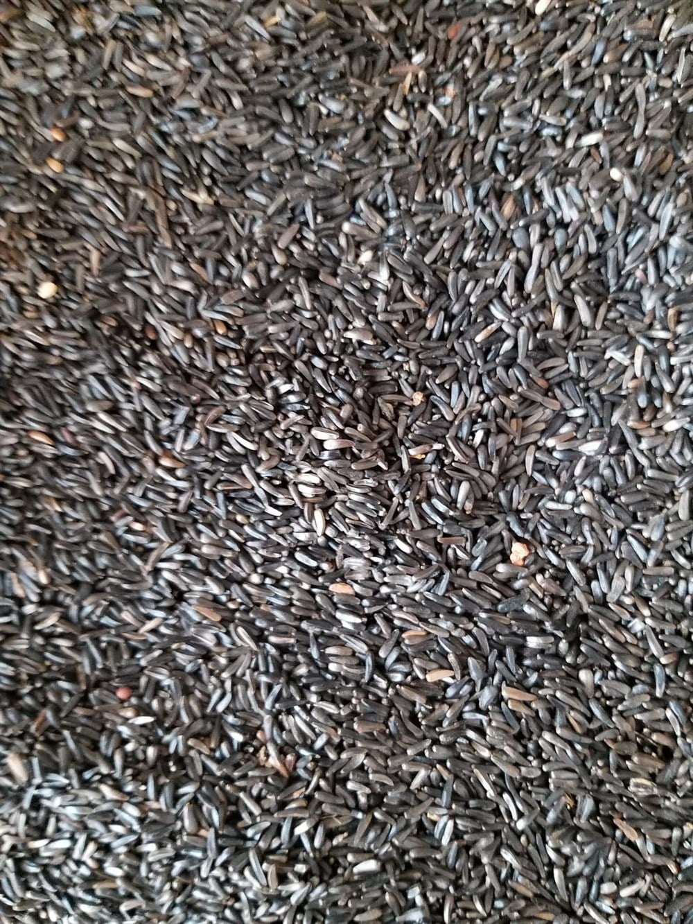 Nijer Tohumu 1 Kg - İkizler Yem MarketNijer Tohumu 1 Kg