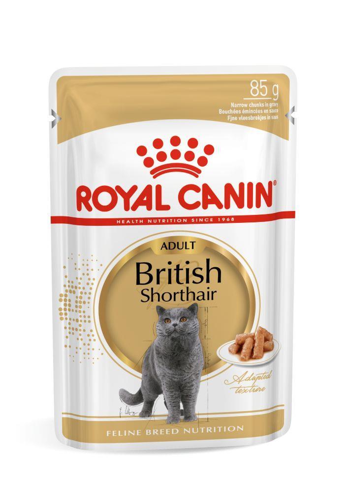 Royal Canin British Shorthair Için Özel Yetişkin Kedi Maması 85 Gr * 12 Adet - İkizler Yem MarketRoyal Canin British Shorthair Için Özel Yetişkin Kedi Maması 85 Gr * 12 Adet
