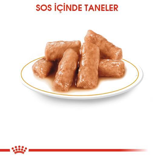 Royal Canin British Shorthair Için Özel Yetişkin Kedi Maması 85 Gr * 12 Adet - İkizler Yem MarketRoyal Canin British Shorthair Için Özel Yetişkin Kedi Maması 85 Gr * 12 Adet