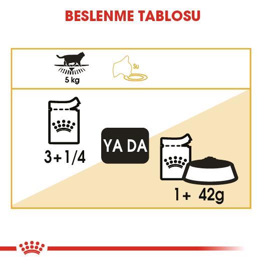 Royal Canin British Shorthair Için Özel Yetişkin Kedi Maması 85 Gr * 12 Adet - İkizler Yem MarketRoyal Canin British Shorthair Için Özel Yetişkin Kedi Maması 85 Gr * 12 Adet