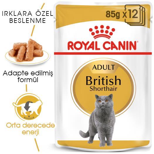 Royal Canin British Shorthair Için Özel Yetişkin Kedi Maması 85 Gr * 12 Adet - İkizler Yem MarketRoyal Canin British Shorthair Için Özel Yetişkin Kedi Maması 85 Gr * 12 Adet