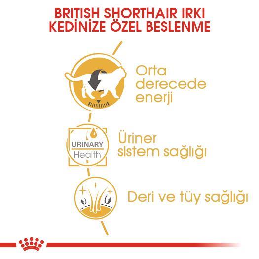 Royal Canin British Shorthair Için Özel Yetişkin Kedi Maması 85 Gr * 12 Adet - İkizler Yem MarketRoyal Canin British Shorthair Için Özel Yetişkin Kedi Maması 85 Gr * 12 Adet
