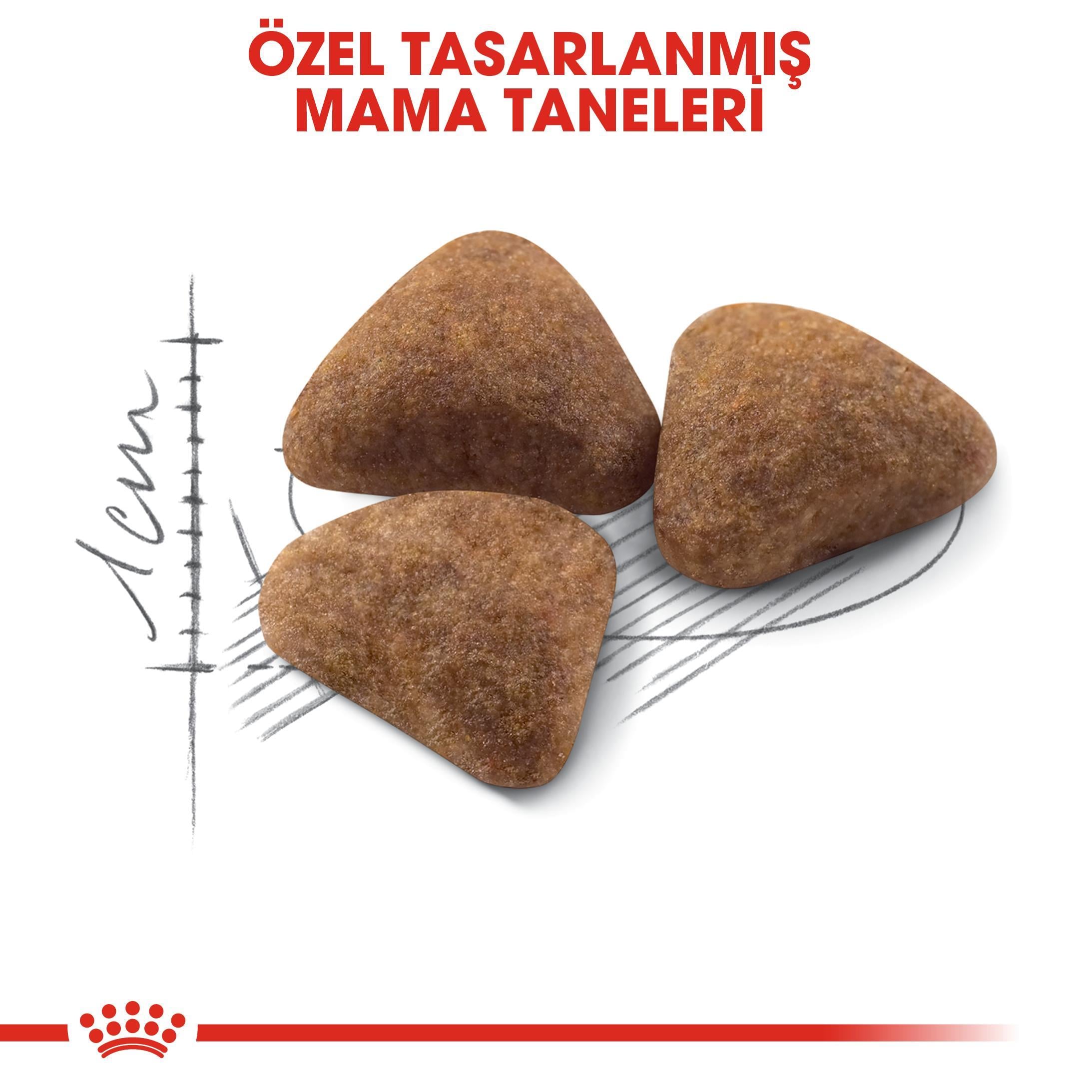 Royal Canin Indoor Ev Kedileri İçin Kedi Maması 2 Kg - İkizler Yem MarketRoyal Canin Indoor Ev Kedileri İçin Kedi Maması 2 Kg