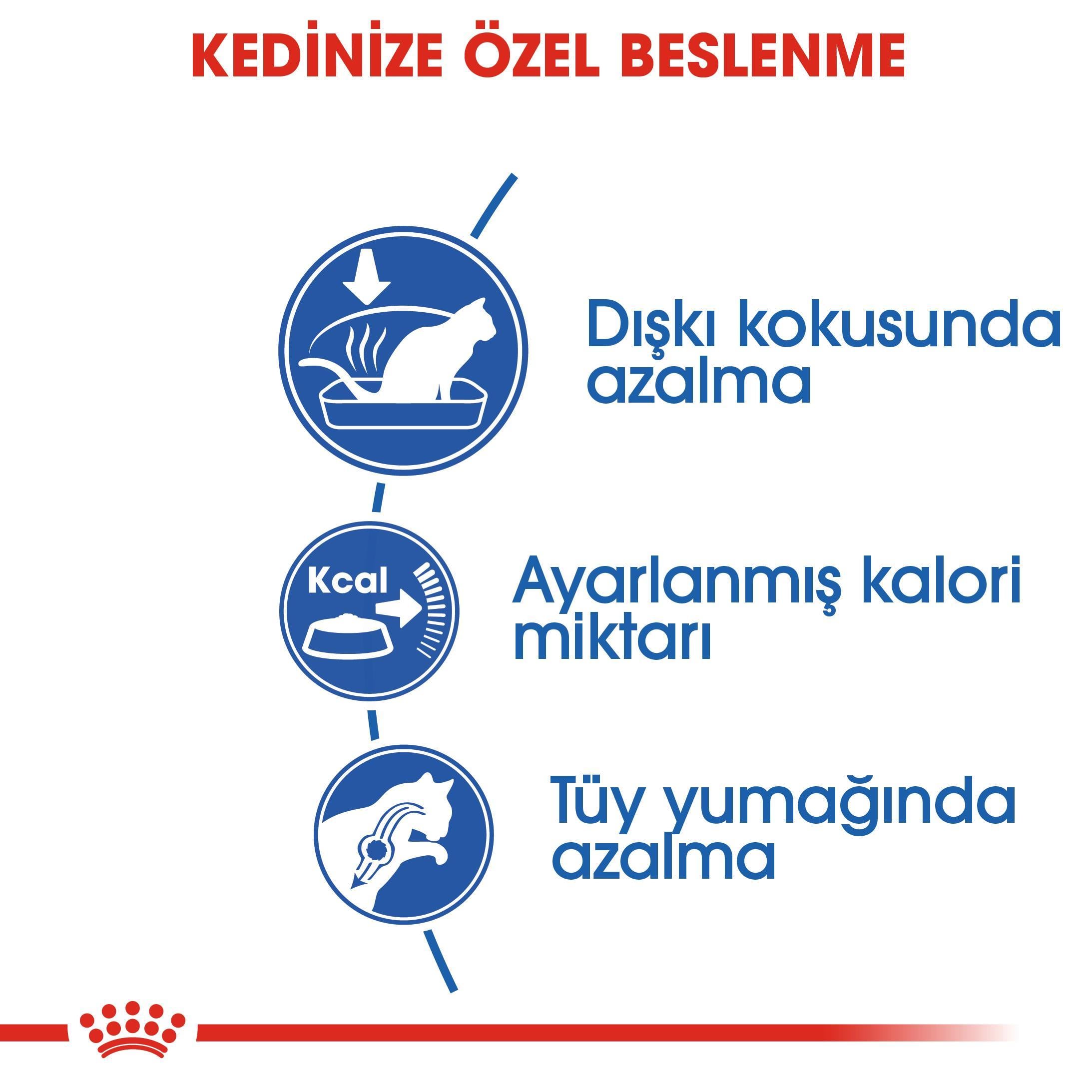 Royal Canin Indoor Ev Kedileri İçin Kedi Maması 2 Kg - İkizler Yem MarketRoyal Canin Indoor Ev Kedileri İçin Kedi Maması 2 Kg