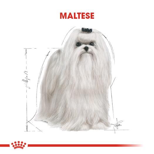 Royal Canin Maltese Köpek Maması 1,5 Kg - İkizler Yem MarketRoyal Canin Maltese Köpek Maması 1,5 Kg