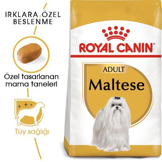 Royal Canin Maltese Köpek Maması 1,5 Kg - İkizler Yem MarketRoyal Canin Maltese Köpek Maması 1,5 Kg