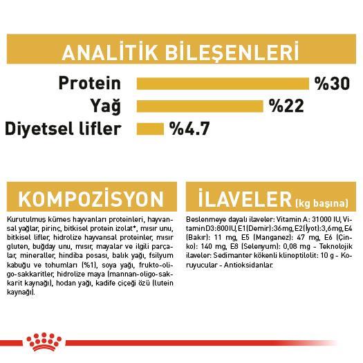 Royal Canin Persian İran Kedi Maması 2 Kg - İkizler Yem MarketRoyal Canin Persian İran Kedi Maması 2 Kg