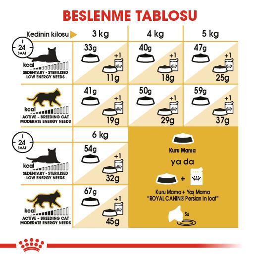 Royal Canin Persian İran Kedi Maması 2 Kg - İkizler Yem MarketRoyal Canin Persian İran Kedi Maması 2 Kg