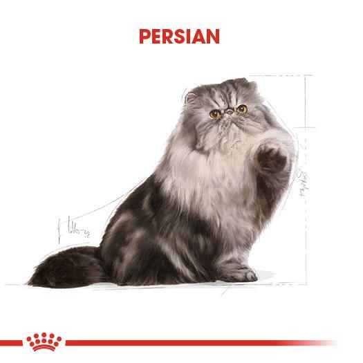 Royal Canin Persian İran Kedi Maması 2 Kg - İkizler Yem MarketRoyal Canin Persian İran Kedi Maması 2 Kg