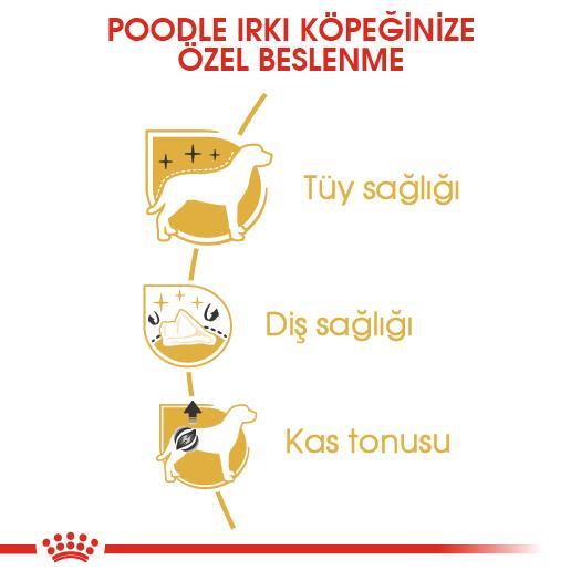 Royal Canin Poodle Adult Köpek Maması 3 kg - İkizler Yem MarketRoyal Canin Poodle Adult Köpek Maması 3 kg