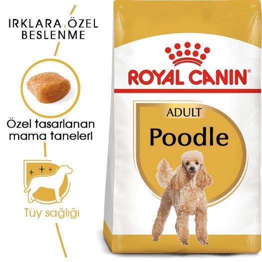 Royal Canin Poodle Adult Köpek Maması 3 kg - İkizler Yem MarketRoyal Canin Poodle Adult Köpek Maması 3 kg