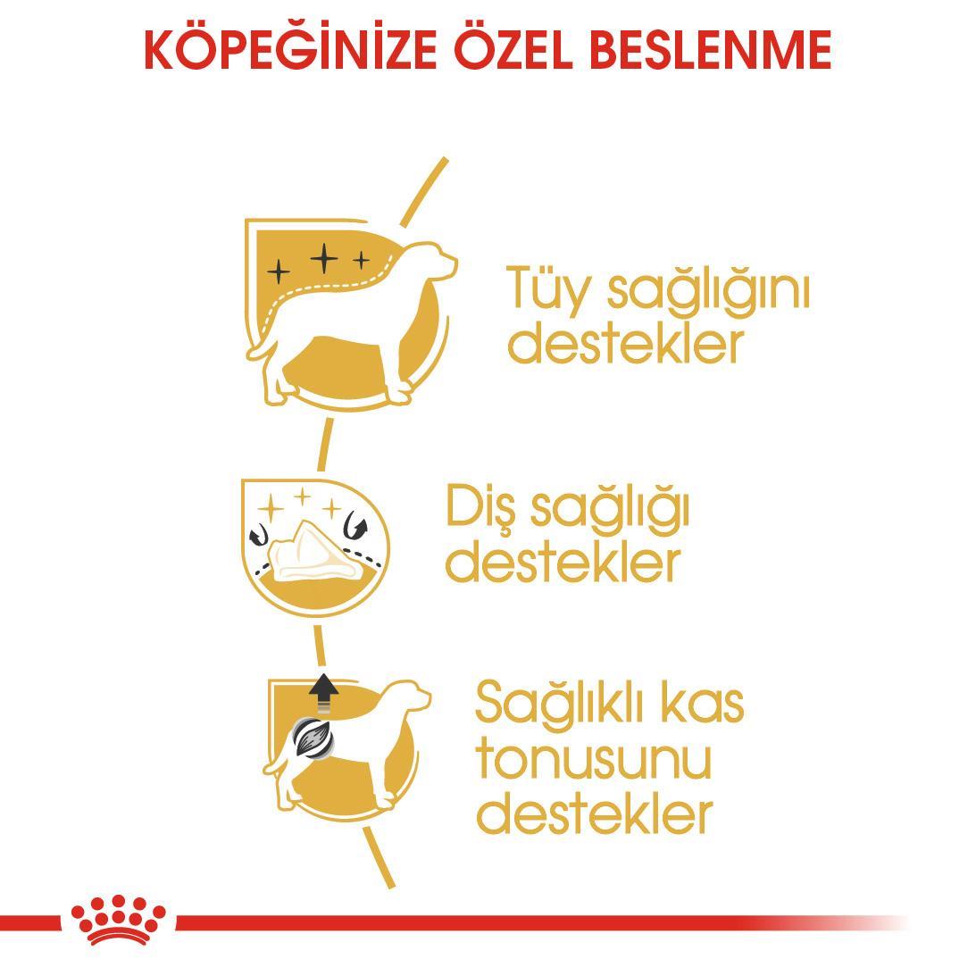 Royal Canin Poodle Adult Köpek Maması 3 kg - İkizler Yem MarketRoyal Canin Poodle Adult Köpek Maması 3 kg