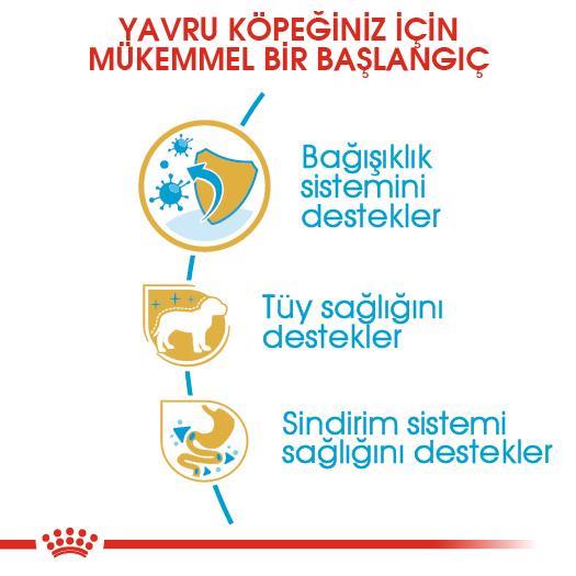 Royal Canin Poodle Puppy Köpek Maması 3 Kg - İkizler Yem MarketRoyal Canin Poodle Puppy Köpek Maması 3 Kg