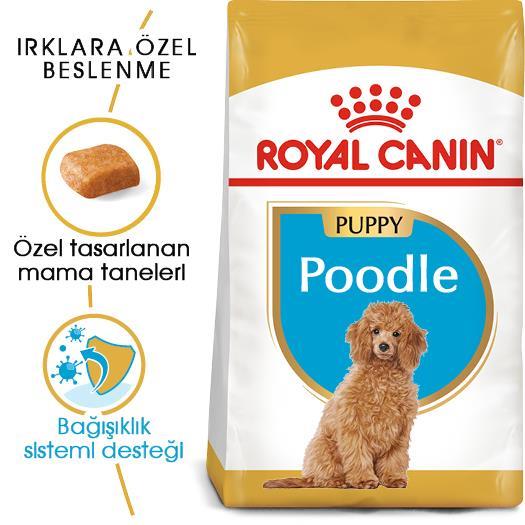 Royal Canin Poodle Puppy Köpek Maması 3 Kg - İkizler Yem MarketRoyal Canin Poodle Puppy Köpek Maması 3 Kg
